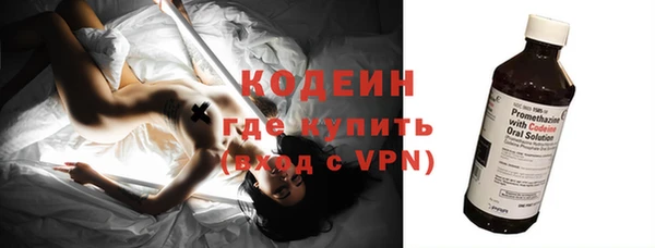 хмурый Алексин