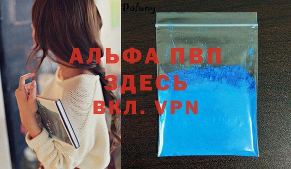 хмурый Алексин