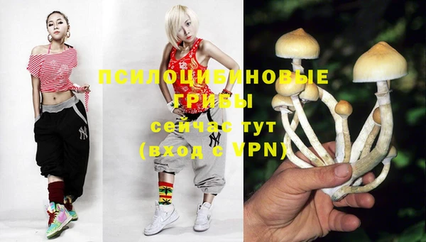 хмурый Алексин
