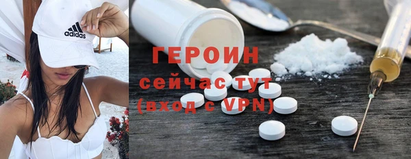 хмурый Алексин