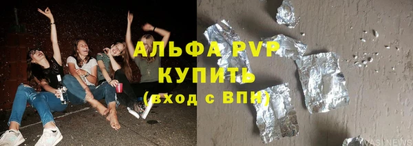 хмурый Алексин